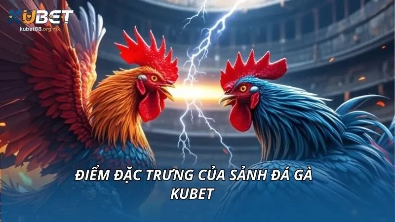 Điểm đặc trưng của sảnh đá gà tại KUBET
