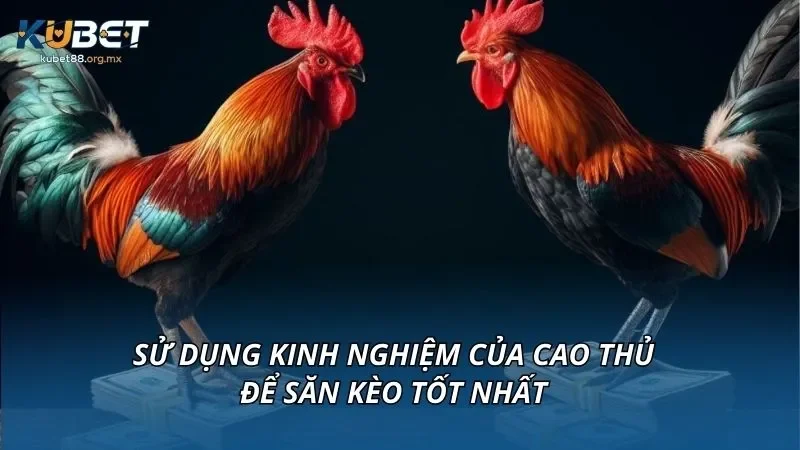 Sử dụng kinh nghiệm của cao thủ để săn kèo tốt nhất
